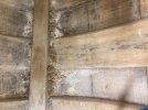 IMG_0305.jpeg