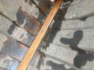 IMG_0150.jpeg