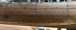 plank gores.jpg