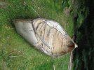 IMG_0241.JPG