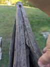 PXL_20250919_194637580.jpg
