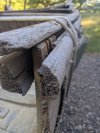 PXL_20250920_155023411.jpg