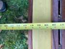 IMG_9154.jpeg