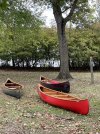 Fall canoes.jpg