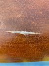 IMG_2956.jpeg