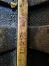 IMG_5880.jpeg