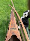 IMG_5910.jpeg