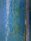 image000000 (2).jpg