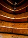 IMG_3259.jpeg