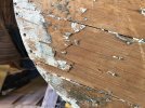 IMG_3817.jpeg