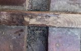 IMG_3548.jpeg