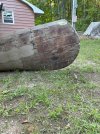IMG_2602.jpeg
