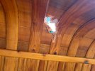 IMG_3586.jpeg