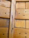 IMG_2355.jpeg