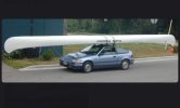 IMG_0300.jpeg