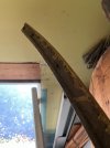 IMG_1766.jpeg