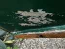 IMG_0387.jpeg