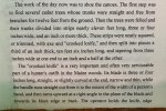IMG_2733.jpeg