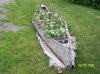 flowerbed canoe2.jpg