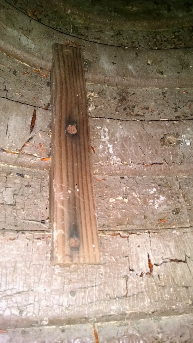 IMG_20170530_071419091